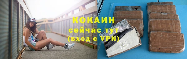 прущие грибы Абаза