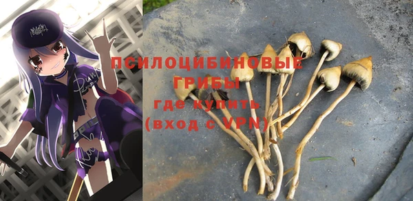 прущие крисы Абдулино