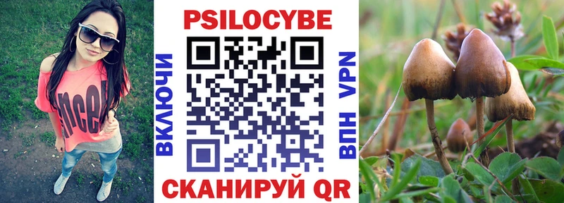 Псилоцибиновые грибы мухоморы  kraken ONION  Кудымкар 